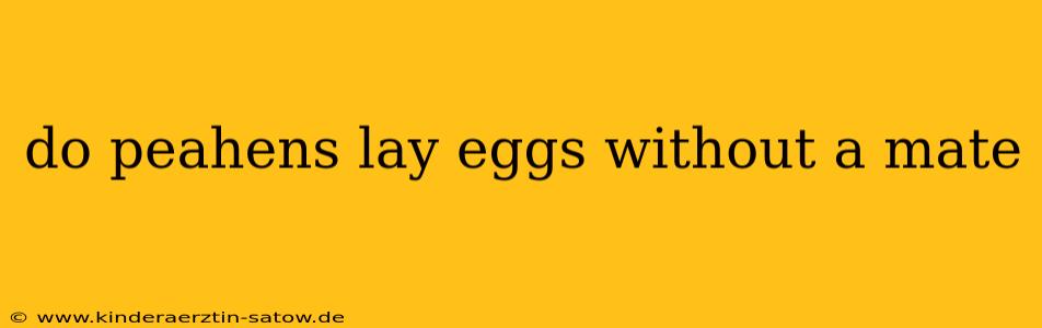 do peahens lay eggs without a mate