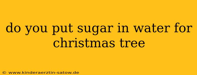 do you put sugar in water for christmas tree