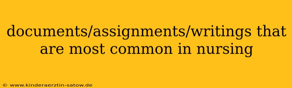 documents/assignments/writings that are most common in nursing