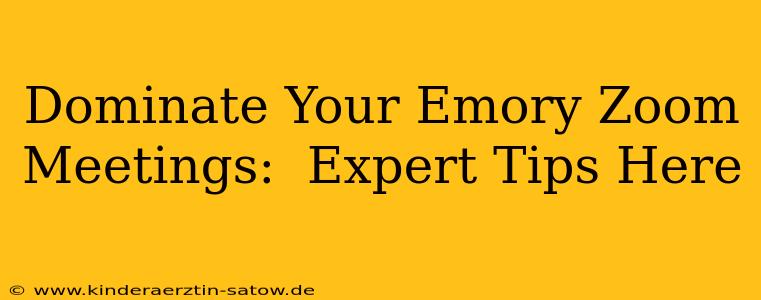Dominate Your Emory Zoom Meetings:  Expert Tips Here