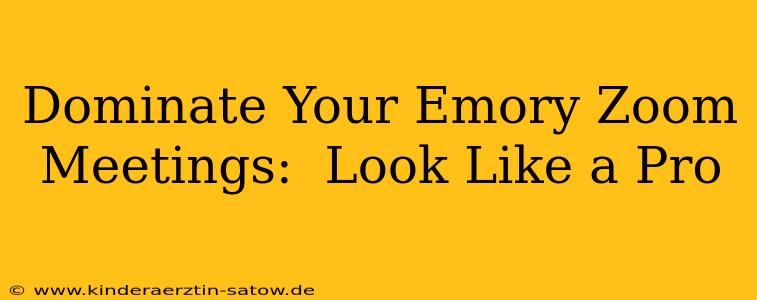 Dominate Your Emory Zoom Meetings:  Look Like a Pro