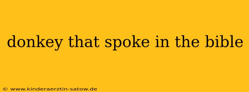 donkey that spoke in the bible