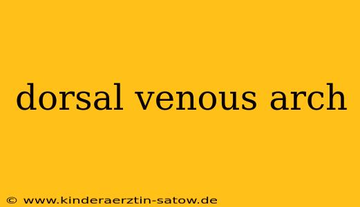dorsal venous arch
