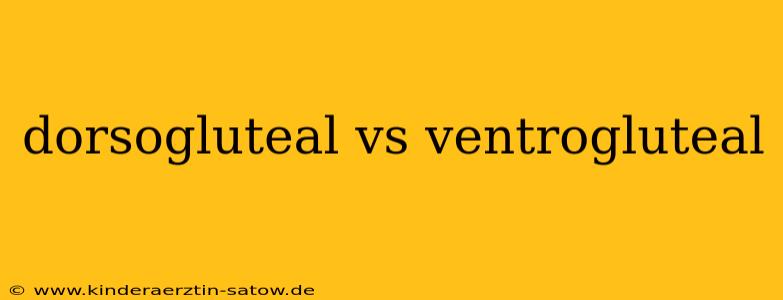 dorsogluteal vs ventrogluteal