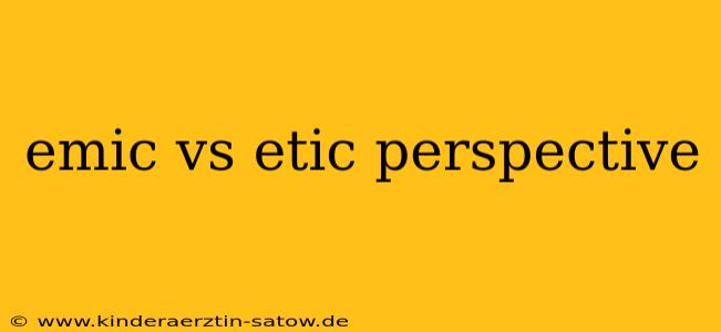 emic vs etic perspective