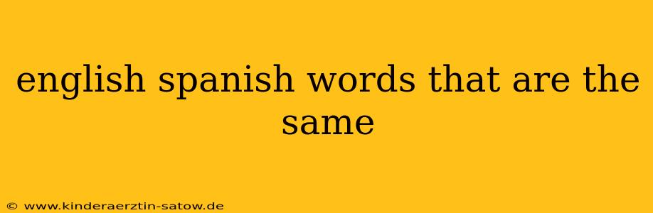 english spanish words that are the same