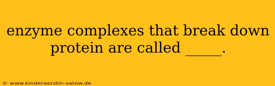 enzyme complexes that break down protein are called _____.