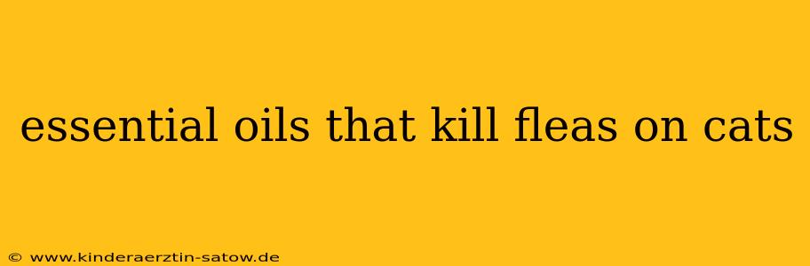 essential oils that kill fleas on cats
