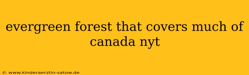 evergreen forest that covers much of canada nyt