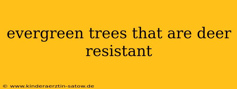 evergreen trees that are deer resistant