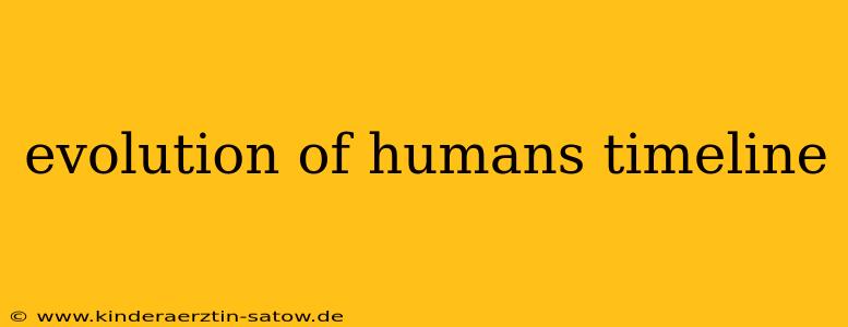 evolution of humans timeline