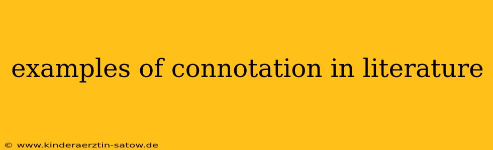 examples of connotation in literature