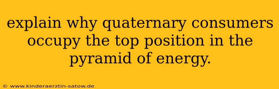 explain why quaternary consumers occupy the top position in the pyramid of energy.