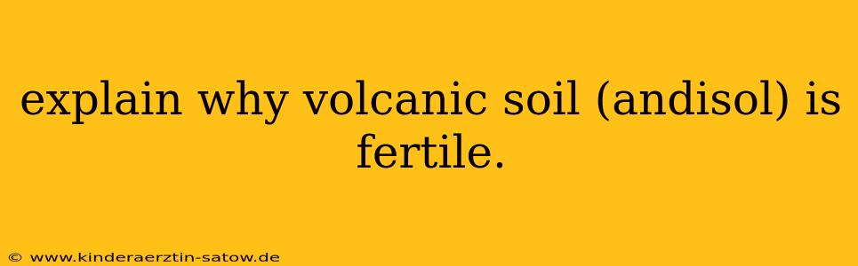 explain why volcanic soil (andisol) is fertile.