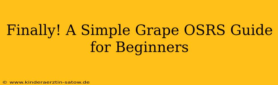 Finally! A Simple Grape OSRS Guide for Beginners