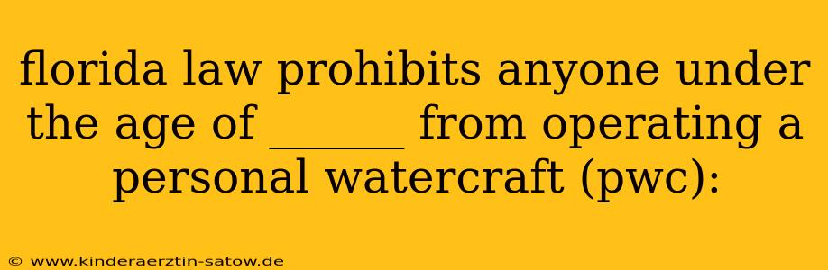 florida law prohibits anyone under the age of ______ from operating a personal watercraft (pwc):