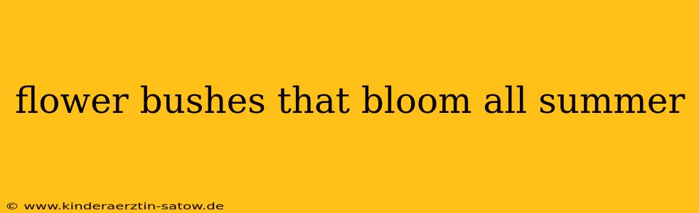 flower bushes that bloom all summer