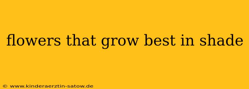 flowers that grow best in shade