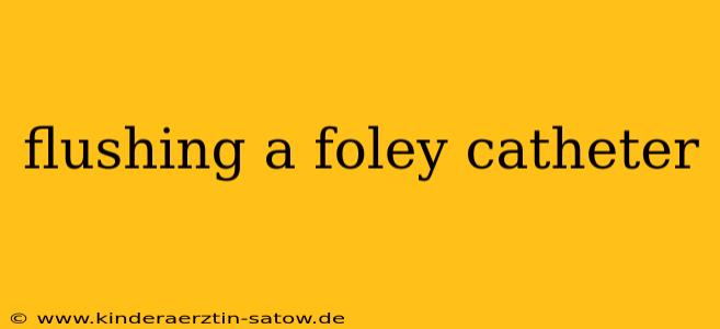 flushing a foley catheter