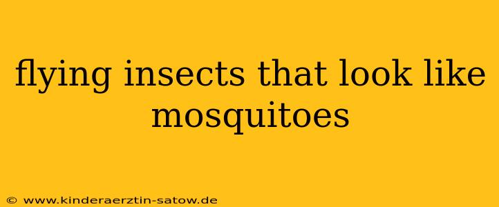 flying insects that look like mosquitoes