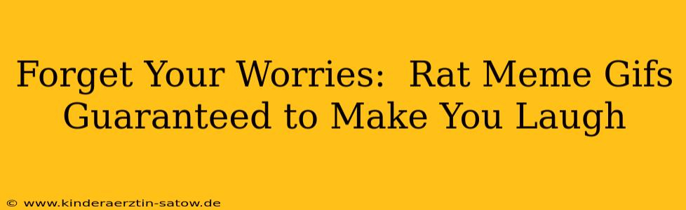 Forget Your Worries:  Rat Meme Gifs Guaranteed to Make You Laugh