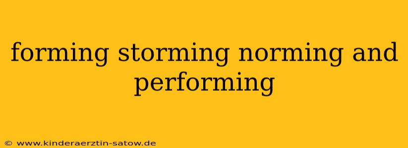 forming storming norming and performing
