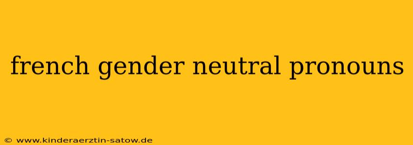 french gender neutral pronouns