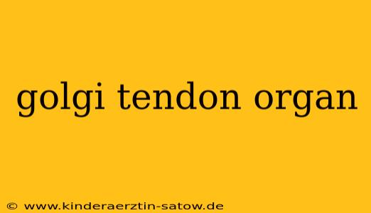 golgi tendon organ