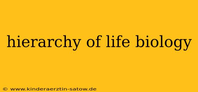 hierarchy of life biology