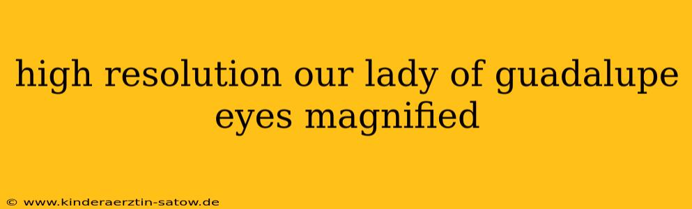 high resolution our lady of guadalupe eyes magnified