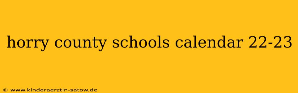 horry county schools calendar 22-23