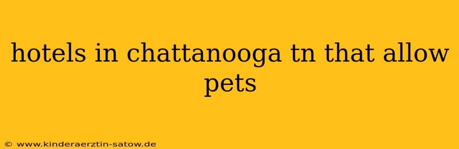 hotels in chattanooga tn that allow pets