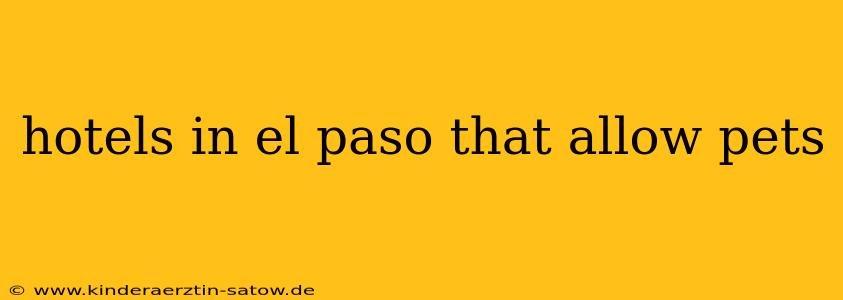 hotels in el paso that allow pets