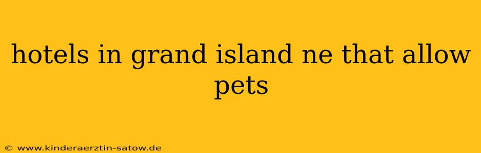 hotels in grand island ne that allow pets