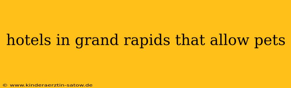 hotels in grand rapids that allow pets
