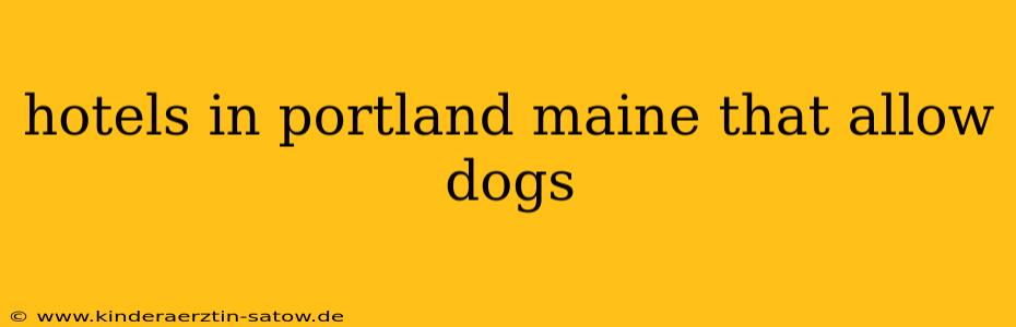 hotels in portland maine that allow dogs
