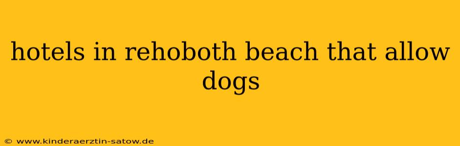hotels in rehoboth beach that allow dogs