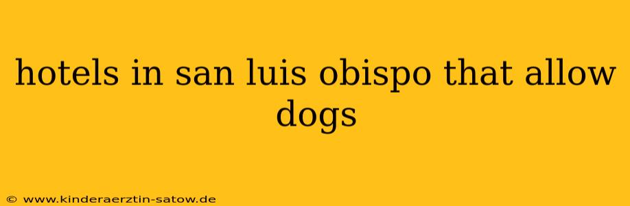 hotels in san luis obispo that allow dogs