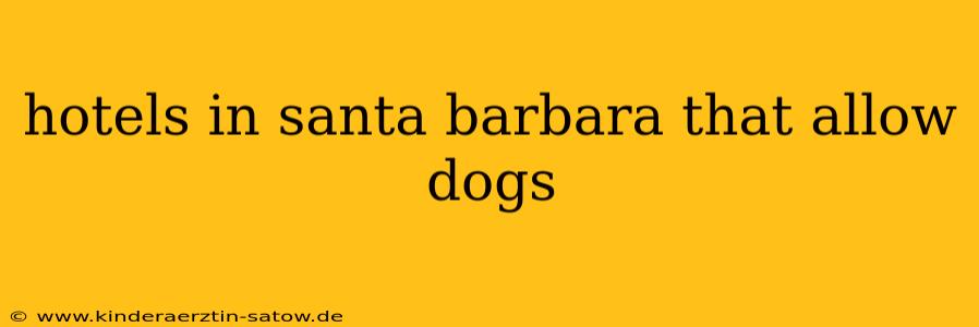 hotels in santa barbara that allow dogs