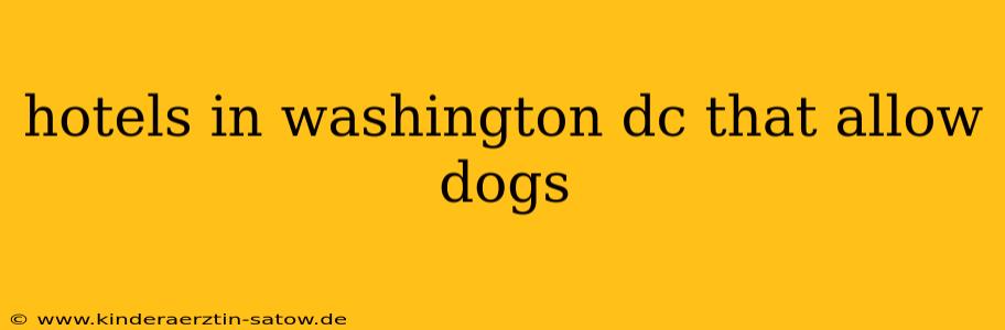 hotels in washington dc that allow dogs