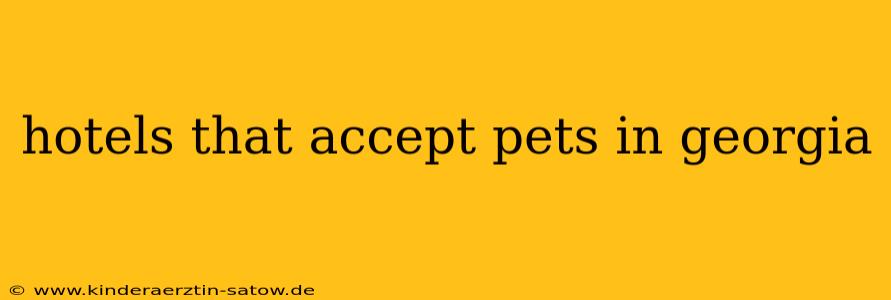 hotels that accept pets in georgia