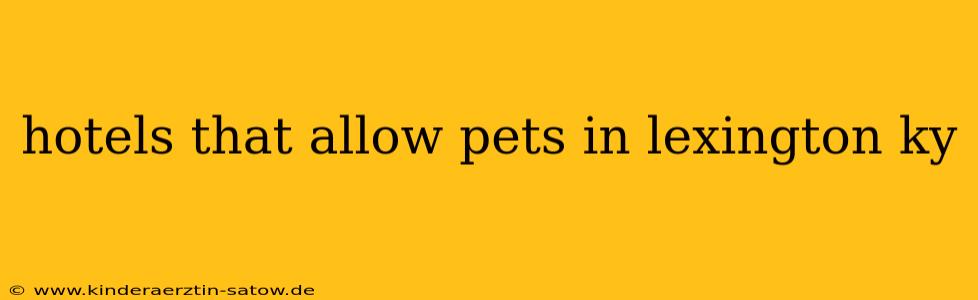 hotels that allow pets in lexington ky