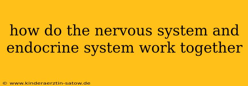 how do the nervous system and endocrine system work together
