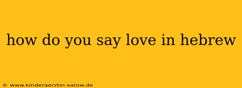 how do you say love in hebrew