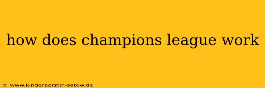 how does champions league work