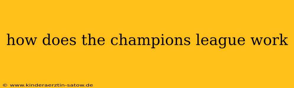 how does the champions league work