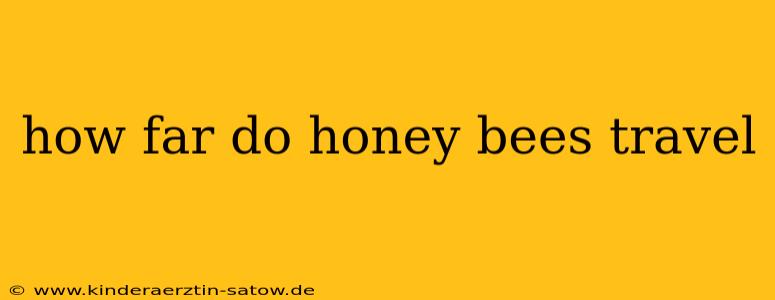 how far do honey bees travel