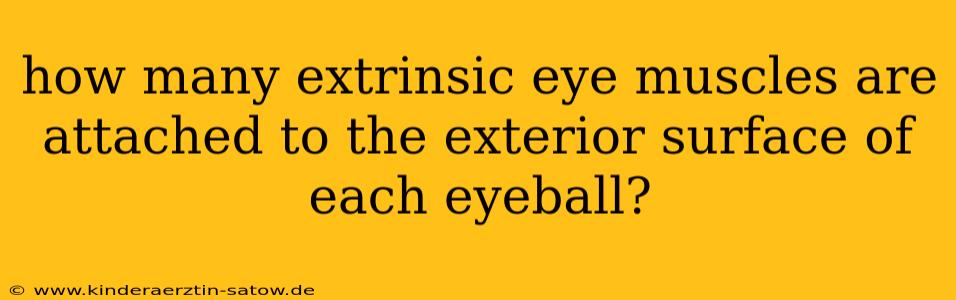 how many extrinsic eye muscles are attached to the exterior surface of each eyeball?