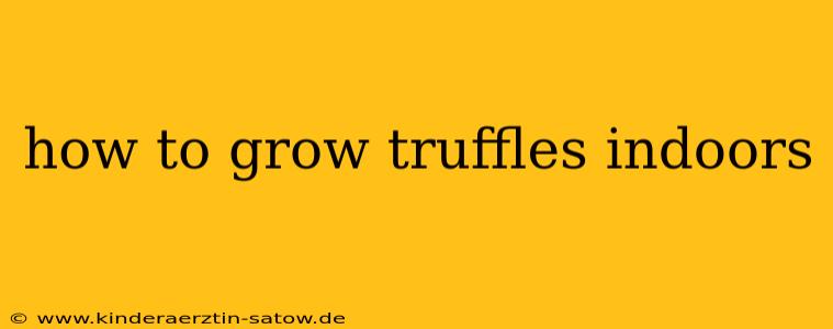 how to grow truffles indoors