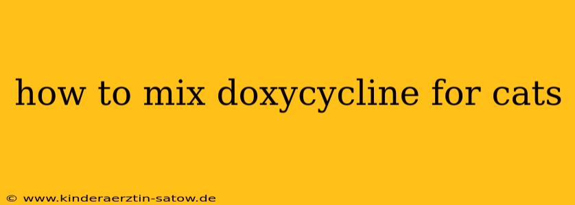 how to mix doxycycline for cats